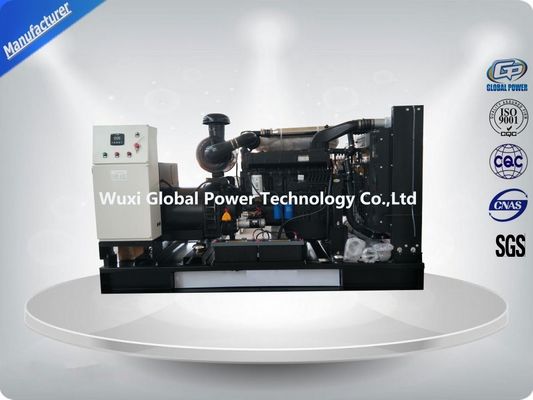 중국 저소음 웨이차이 / 코포 / 리카르도 오픈 디젤 젠 세트 250 KW / 313 Kva ATS와 함께 총 전력 협력 업체