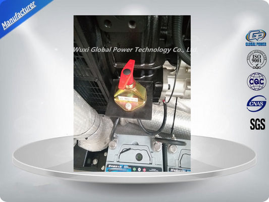 250 KW / 313 KVA 오픈형 디젤 발전기 글로벌 파워 디젤 동력 발전기 협력 업체